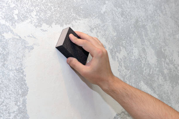 Best Water Damage & Mold Remediation  in Justice, IL