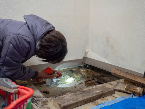 Best Air Quality Testing for Mold Spores  in Justice, IL