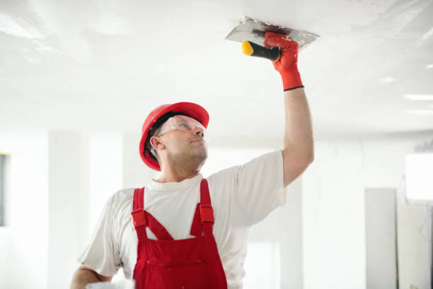 Best Dehumidification Services  in Justice, IL